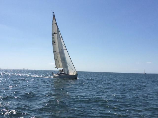 10635874_10204945352218099_786890785352159393_n