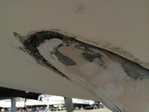 10387208_10206289520501466_8386325431559447711_n