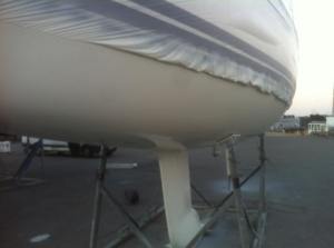 10968574_10152969890365999_7245434779551595730_n